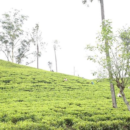 Ella Tea Land View Apartment Ngoại thất bức ảnh