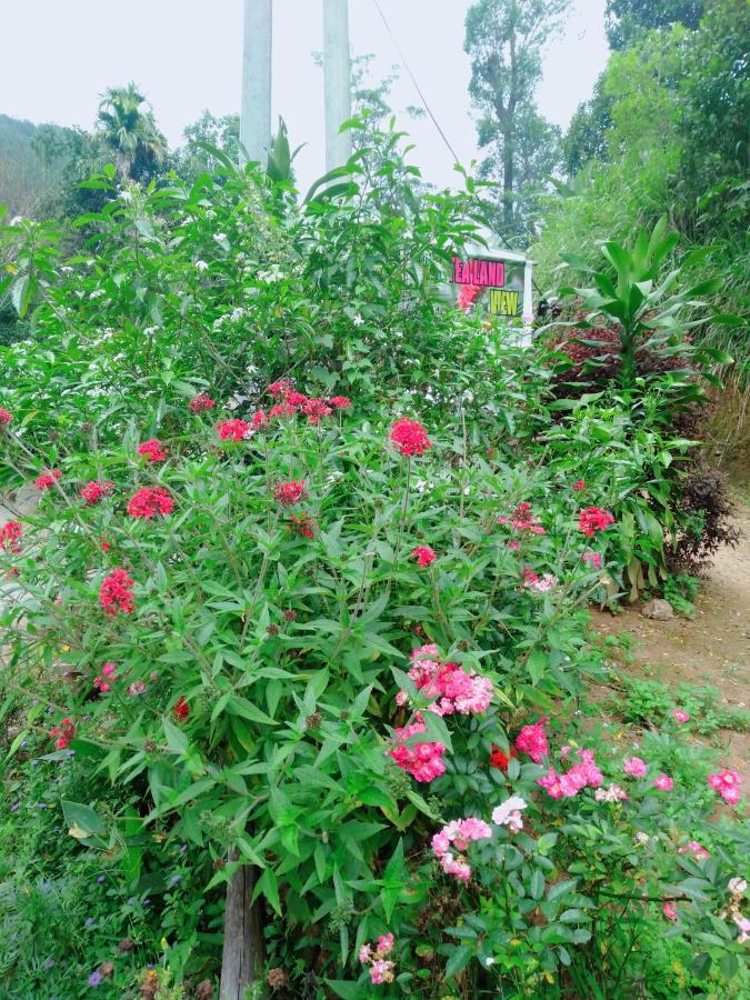 Ella Tea Land View Apartment Ngoại thất bức ảnh