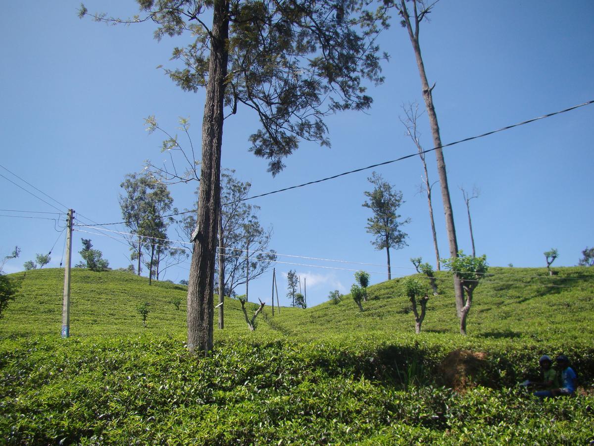 Ella Tea Land View Apartment Ngoại thất bức ảnh