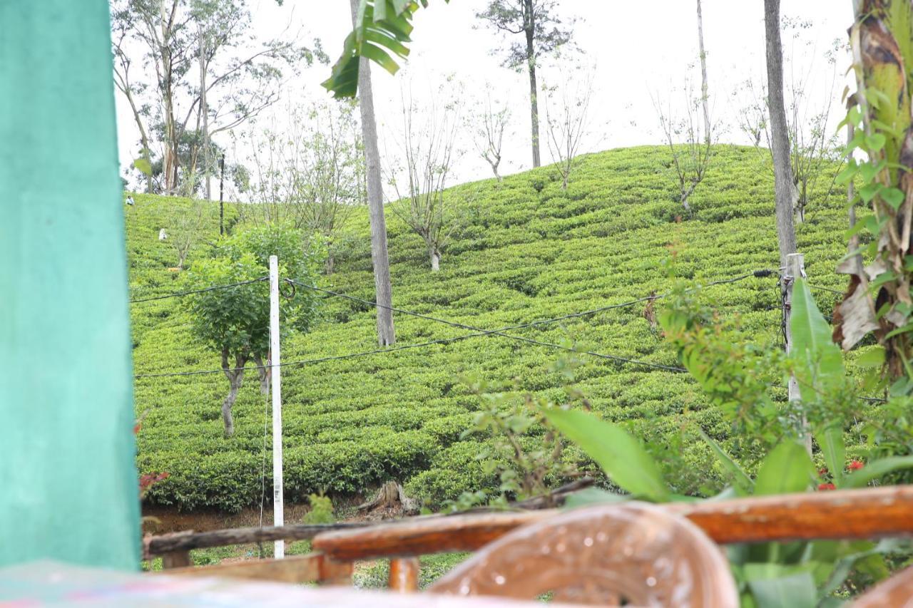 Ella Tea Land View Apartment Ngoại thất bức ảnh
